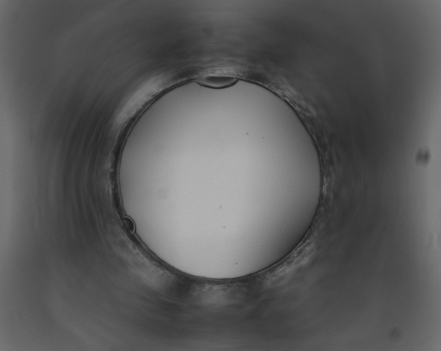 X0000092240341200710051243