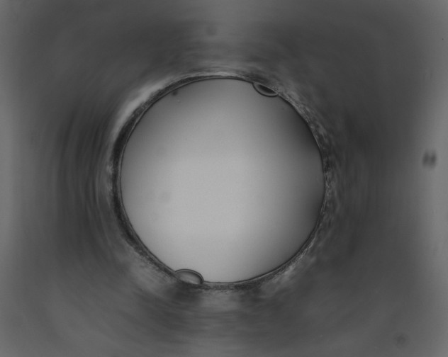 X0000092240342200710051243