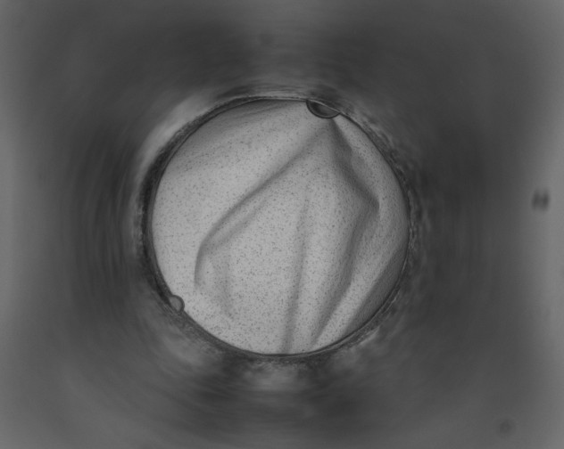 X0000092240343200710051243