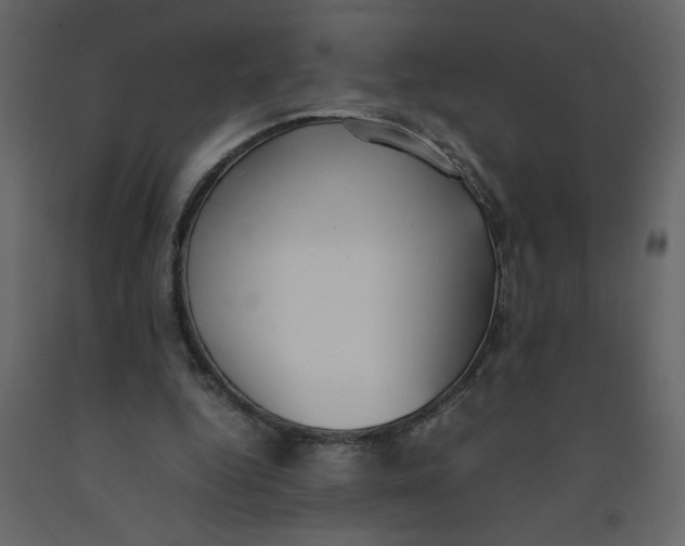 X0000092240344200710051243