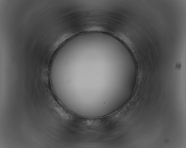 X0000092240345200710051243