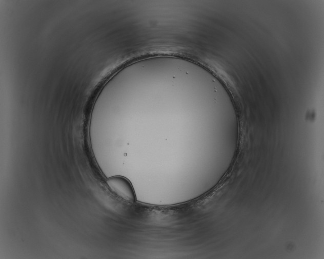 X0000092240346200710051243