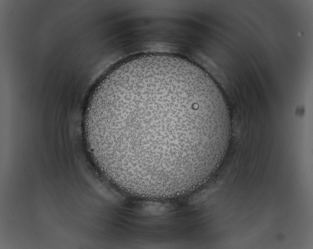 X0000092240347200710051243