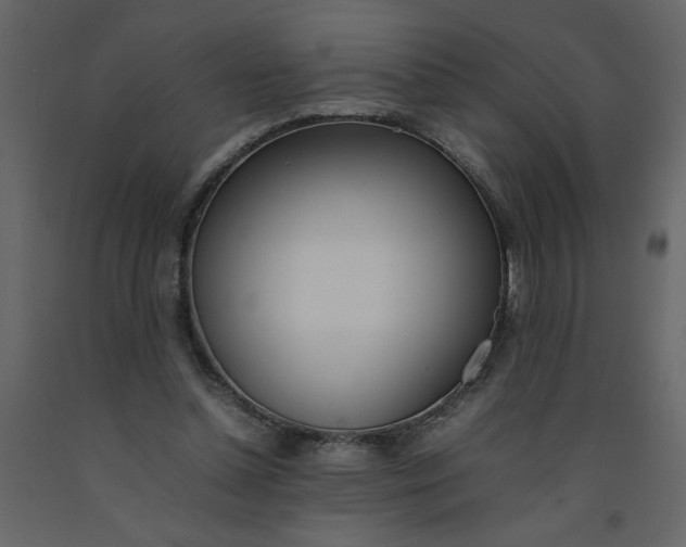 X0000092240348200710051243