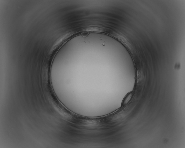 X0000092240349200710051243