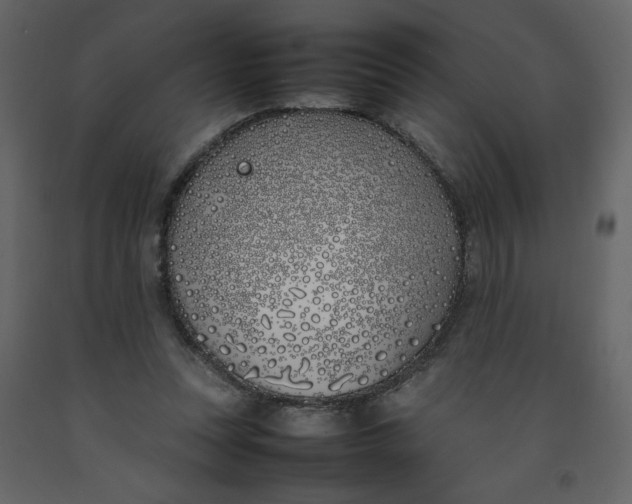 X0000092240351200710051243