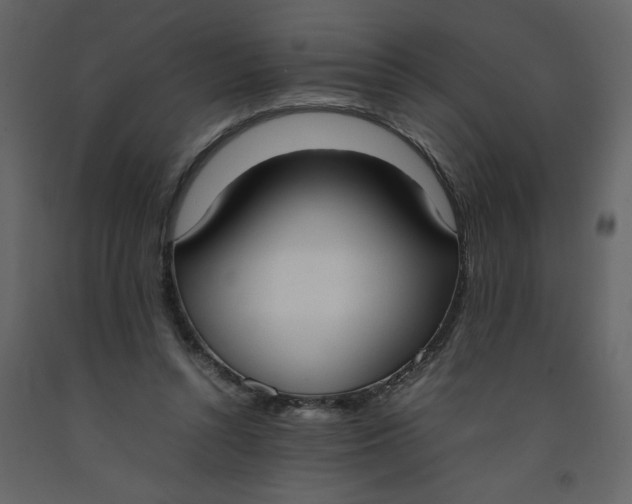 X0000092240352200710051243