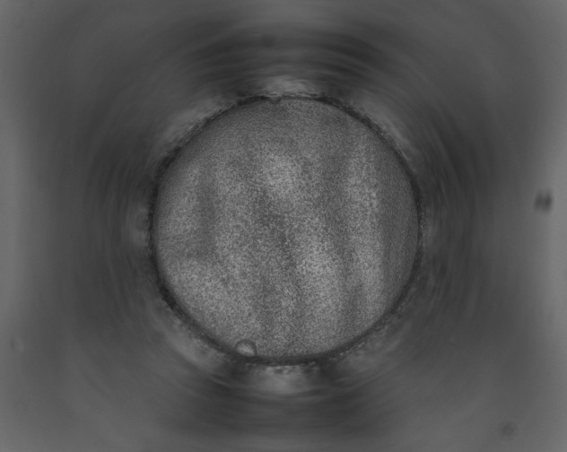 X0000092240353200710051243