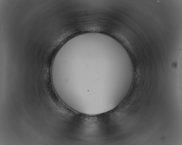 X0000092240355200710051243