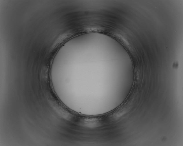 X0000092240357200710051243