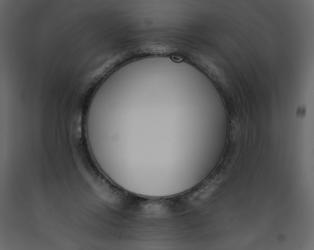 X0000092240358200710051243