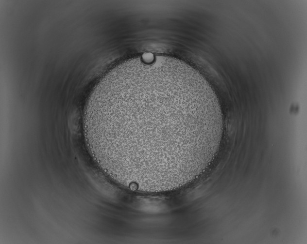 X0000092240359200710051243