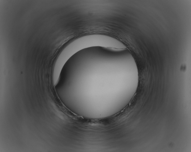 X0000092240360200710051243