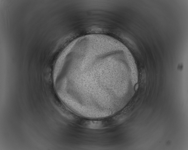 X0000092240361200710051243