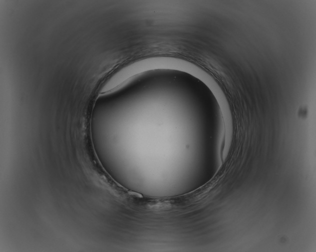 X0000092240362200710051243