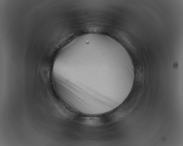 X0000092240363200710051243