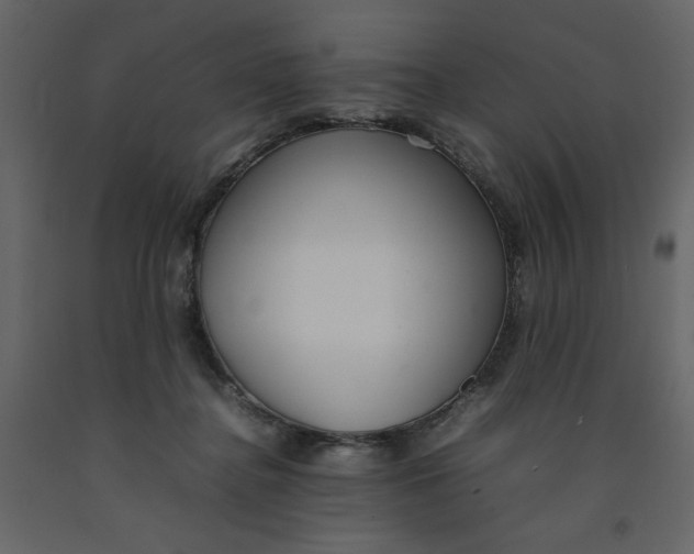 X0000092240364200710051243