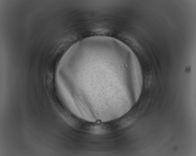 X0000092240365200710051243