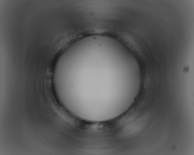 X0000092240366200710051243