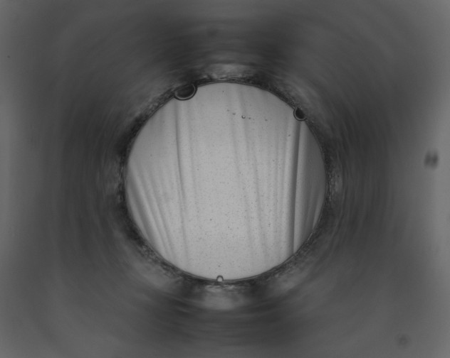 X0000092240367200710051243