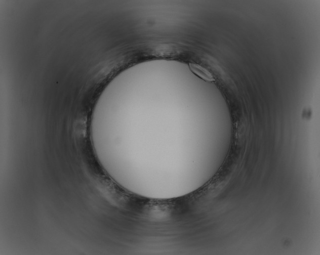 X0000092240368200710051243