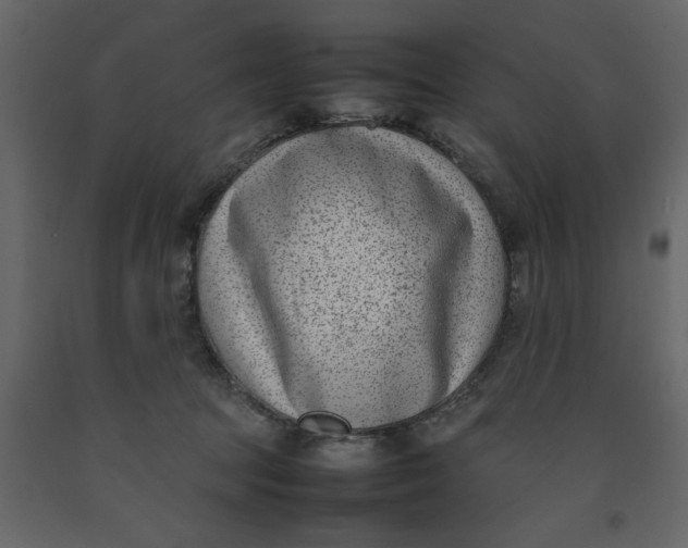 X0000092240369200710051243