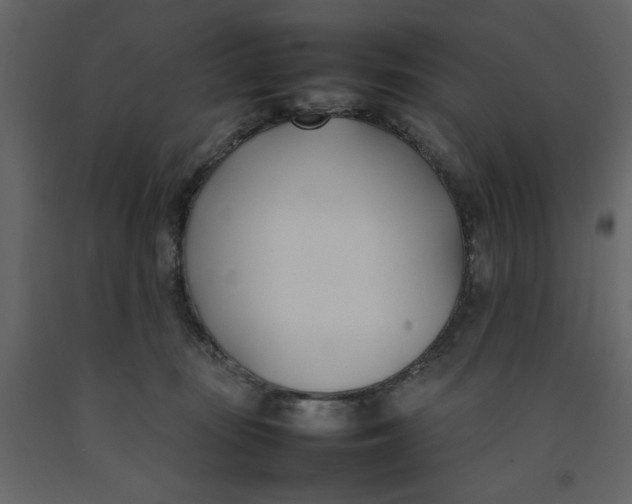 X0000092240371200710051243