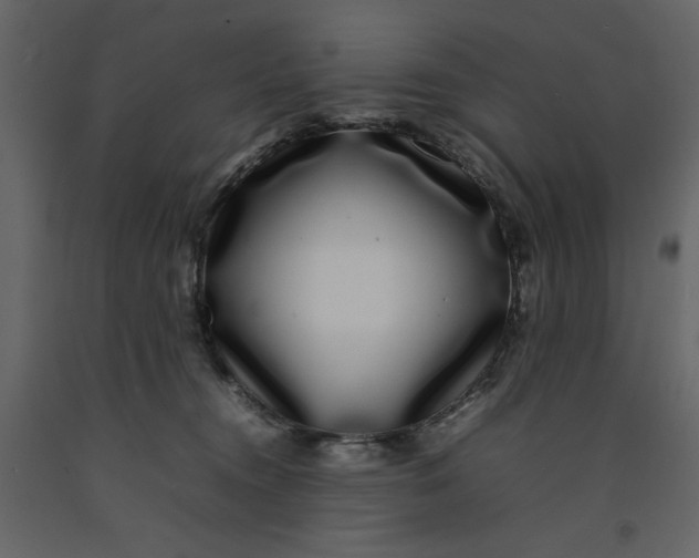 X0000092240372200710051243