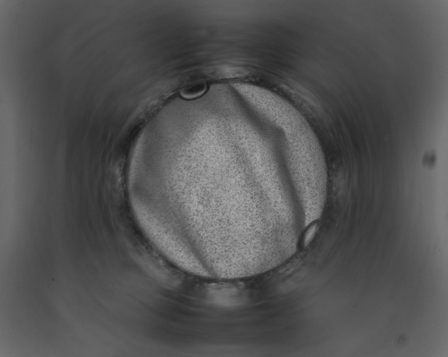 X0000092240373200710051243