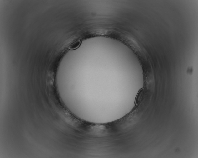 X0000092240374200710051243