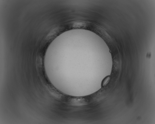 X0000092240375200710051243