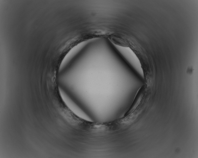 X0000092240376200710051243