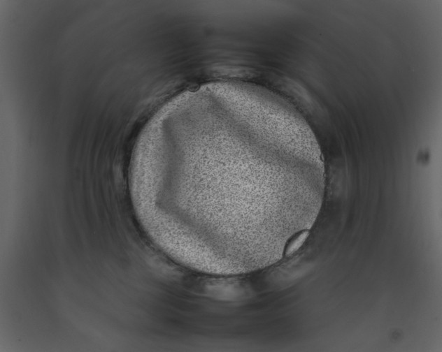 X0000092240377200710051243