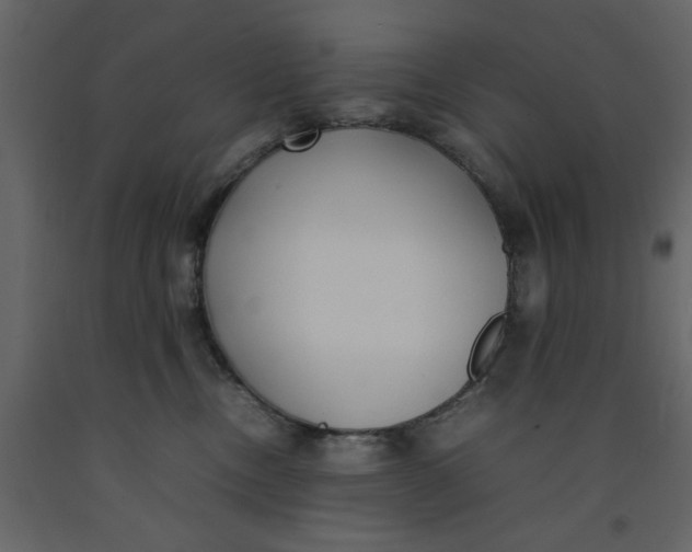 X0000092240378200710051243