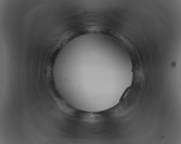 X0000092240379200710051243