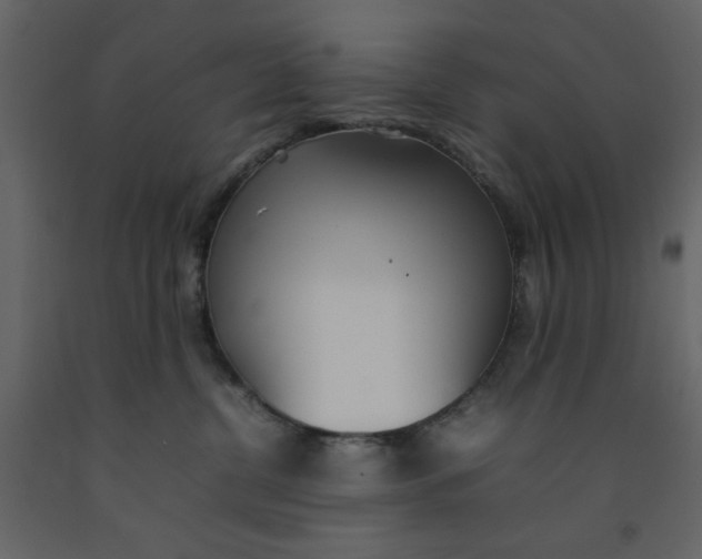 X0000092240380200710051243