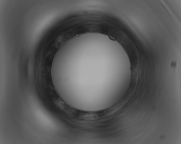 X0000092240383200710051243