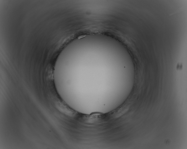 X0000092240384200710051243