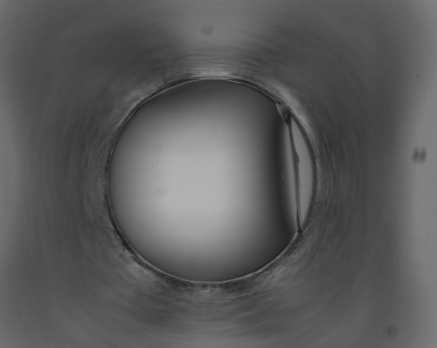 X0000092240385200710051243