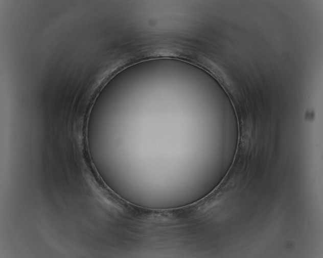 X0000092240386200710051243