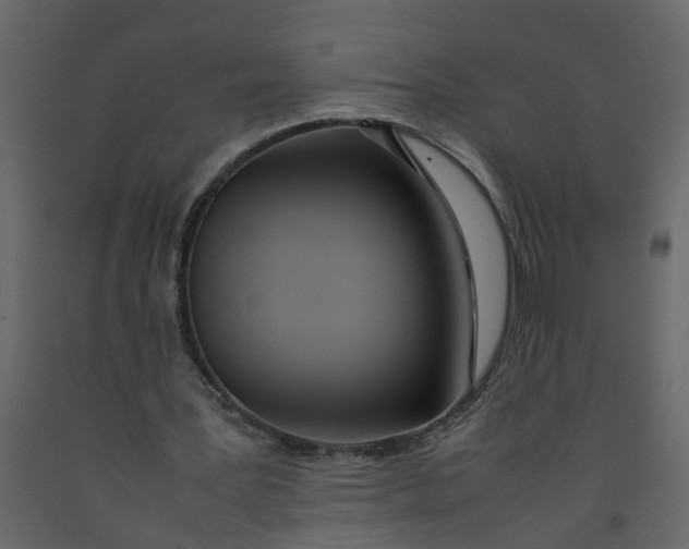 X0000092240387200710051243