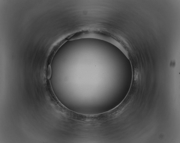 X0000092240388200710051243