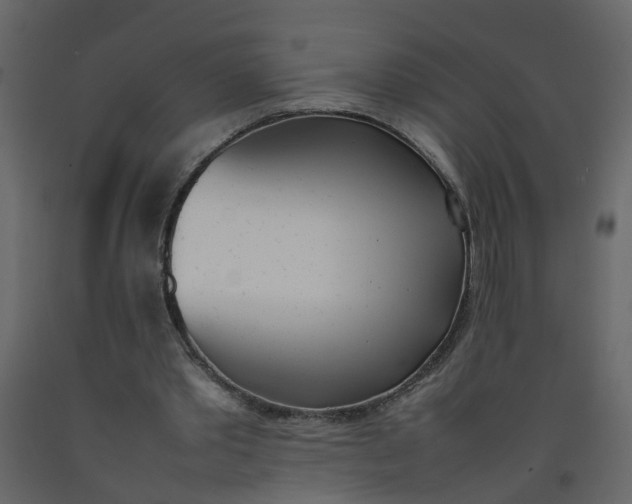 X0000092240389200710051243