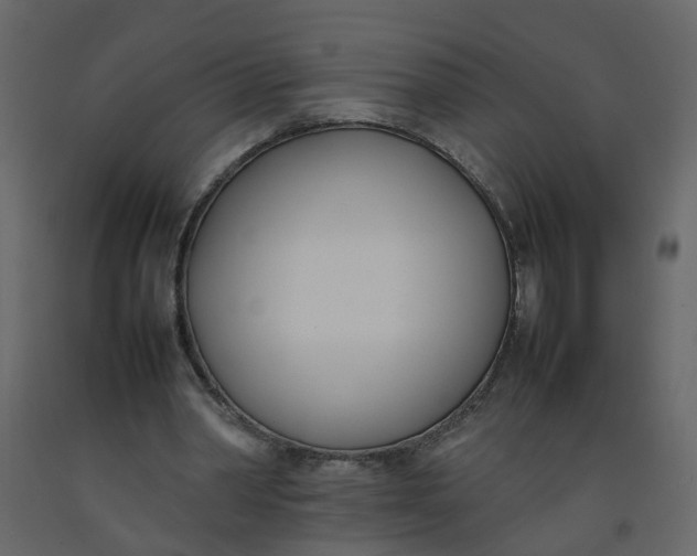 X0000092240390200710051243