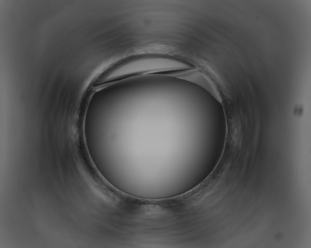 X0000092240392200710051243