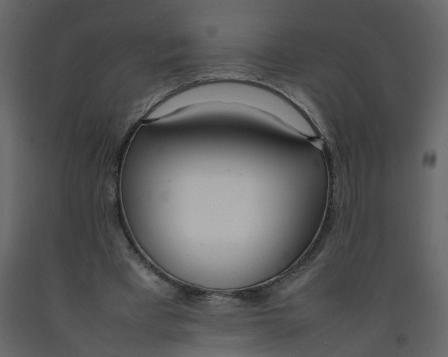X0000092240393200710051243