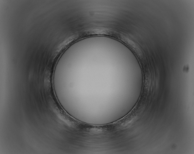 X0000092240394200710051243