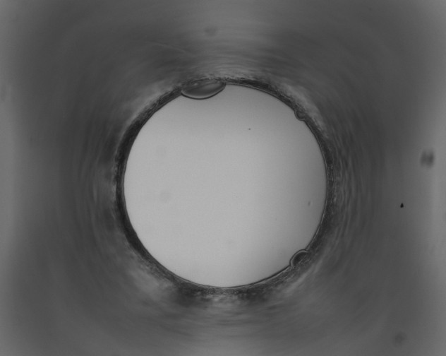 X0000092240395200710051243