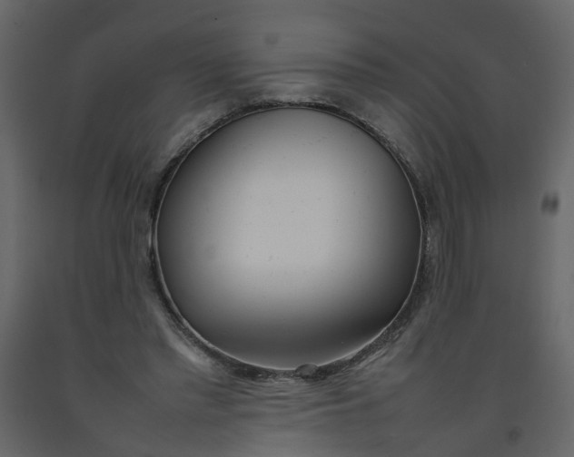 X0000092240397200710051243