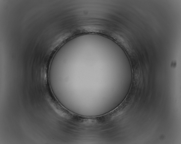 X0000092240398200710051243